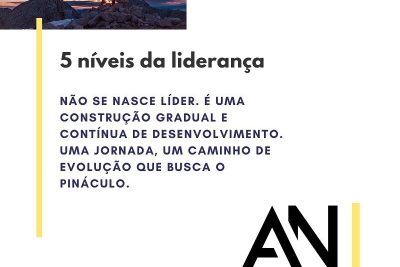 5 níveis da liderança